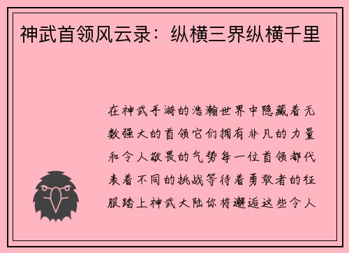 神武首领风云录：纵横三界纵横千里